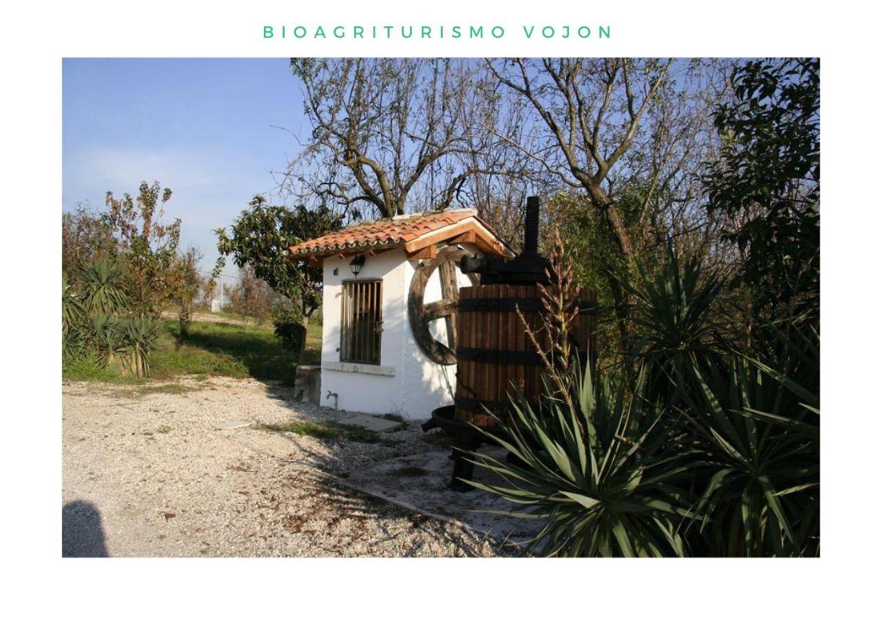 Bio Agriturismo Vojon